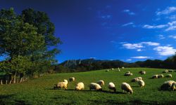 Gipuzkoa - Parque Natural Aiako Harria