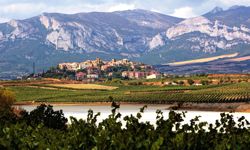 Rioja Alavesa - Laguardia Panoramica
