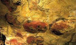 El Transcantabrico GL - Höhle von Altamira in Santilliana del Mar