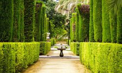 Sevilla - Alcazar - Garten der Dichter