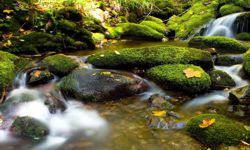 Wasserlauf im Naturreservat in Asturien