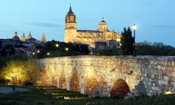 Vista General Puente y Catedral Salamanca