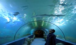Almunecar Aquarium