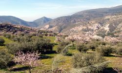 Unbekanntes Andalusien - Alpujarras